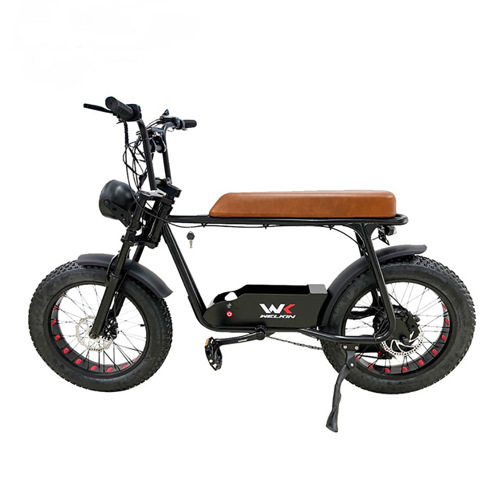 PL Warehouse Stock GYL106 20*4.0" Fat Tire Electric Bike with 1200W Motor 48V 18Ah Battery