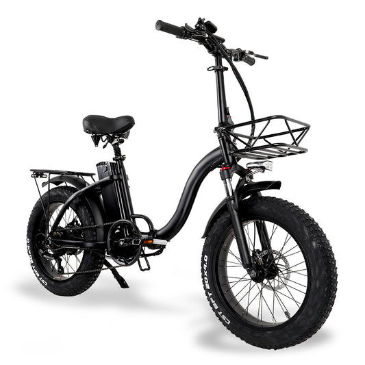 PL Warehouse Stock GYL033 20*4.0" Fat Tire Electric Bike with 750W Motor 48V 15Ah Battery