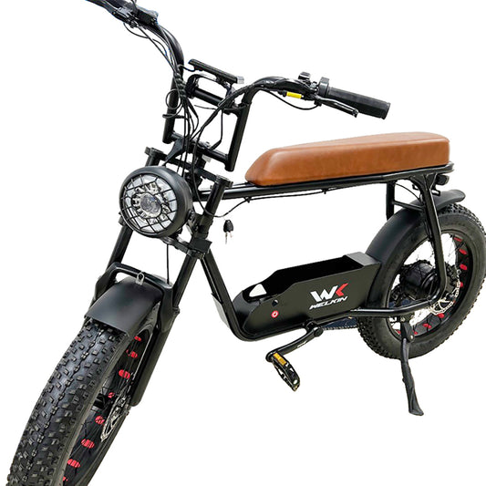 PL Warehouse Stock GYL106 20*4.0" Fat Tire Electric Bike with 1200W Motor 48V 18Ah Battery