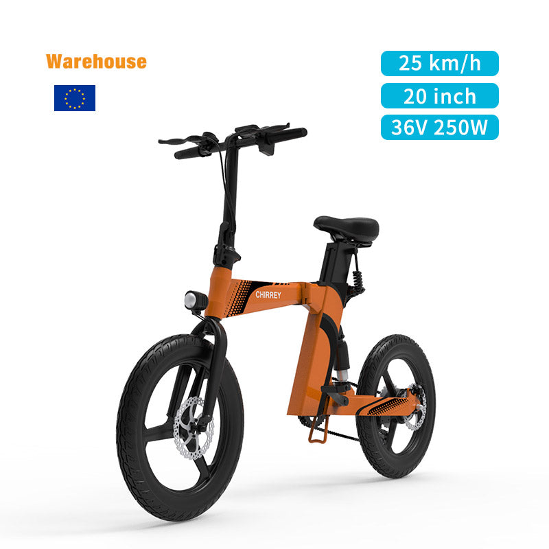 PL Warehouse Stock BK5 PLUS 20*2.125" Tire Electric Bike with 250W Motor 36V 8Ah Battery