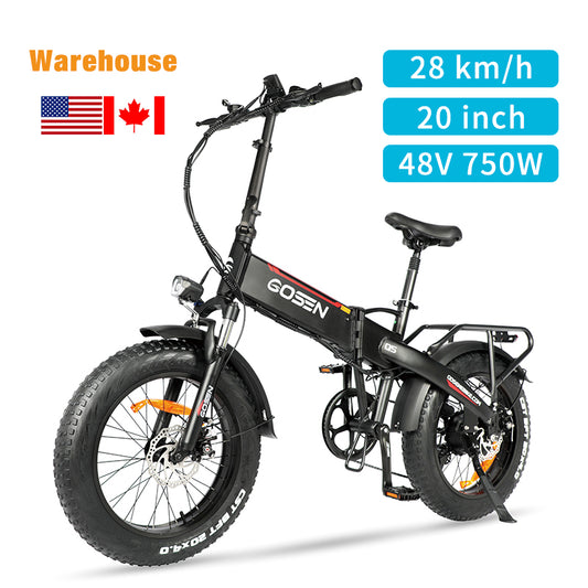US Warehouse Stock Q5-PLUS 20*4.0" Fat Tire Electric Bike with 750W Motor 48V 15Ah Battery